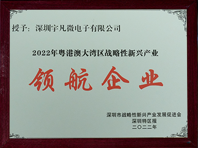 2022年粵港澳大灣區(qū)戰(zhàn)略性新興產(chǎn)業(yè)領(lǐng)航企業(yè)