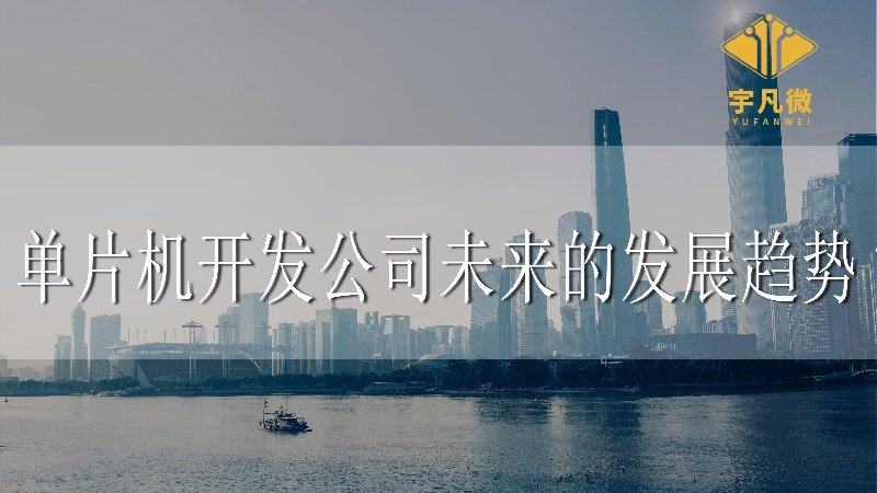 單片機(jī)開發(fā)公司未來(lái)的發(fā)展趨勢(shì)