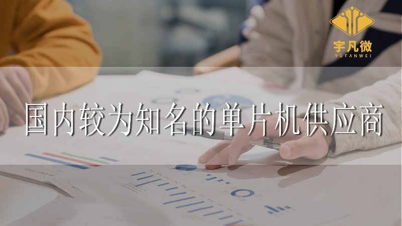 國(guó)內(nèi)較為知名的單片機(jī)供應(yīng)商有哪些